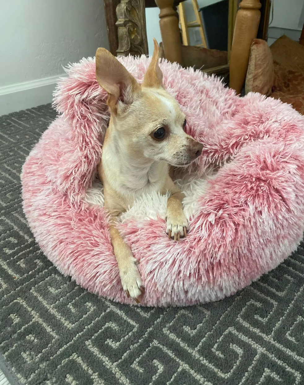 <p>"My dogs absolutely love the Cuddle Cave! They spend hours snuggled inside. The material is soft and durable—highly recommend!"</p>