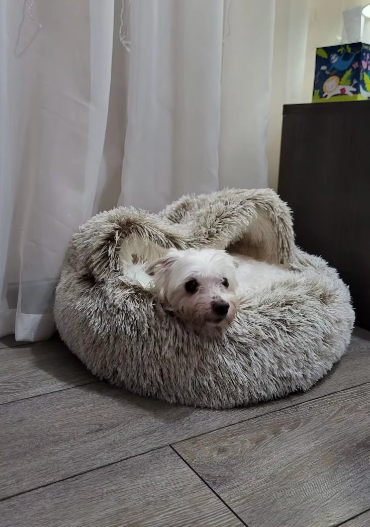 <p>"The Cuddle Cave is perfect for our small apartment. Her new favorite spot!"</p>