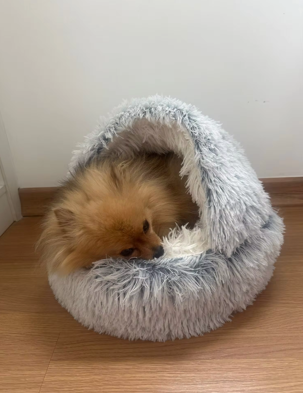 <p>"The best purchase I've made for my dog! She immediately took to it and looks so cozy."</p>